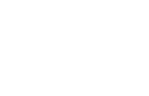 +20 years experience