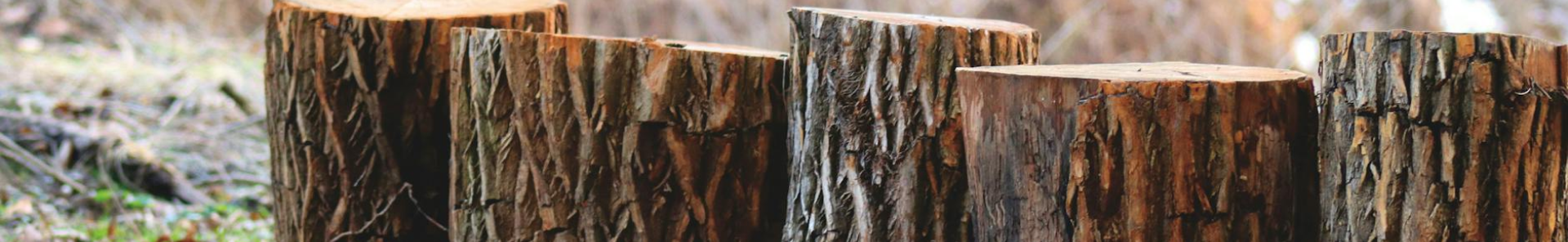 Stump removal process